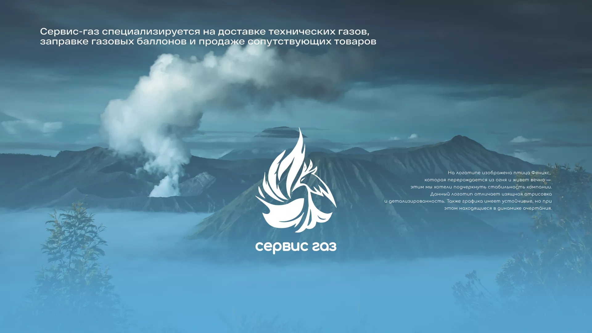 Создание сайта компании «Сервис газ» в Светогорске