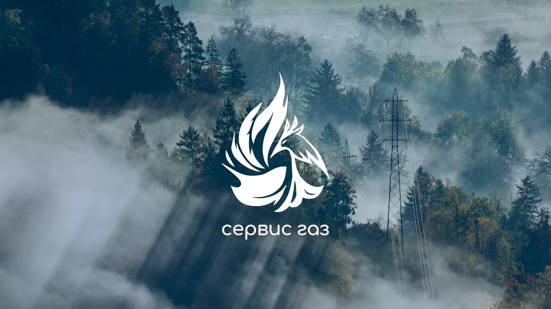 Создание сайта компании «Сервис газ» в Светогорске