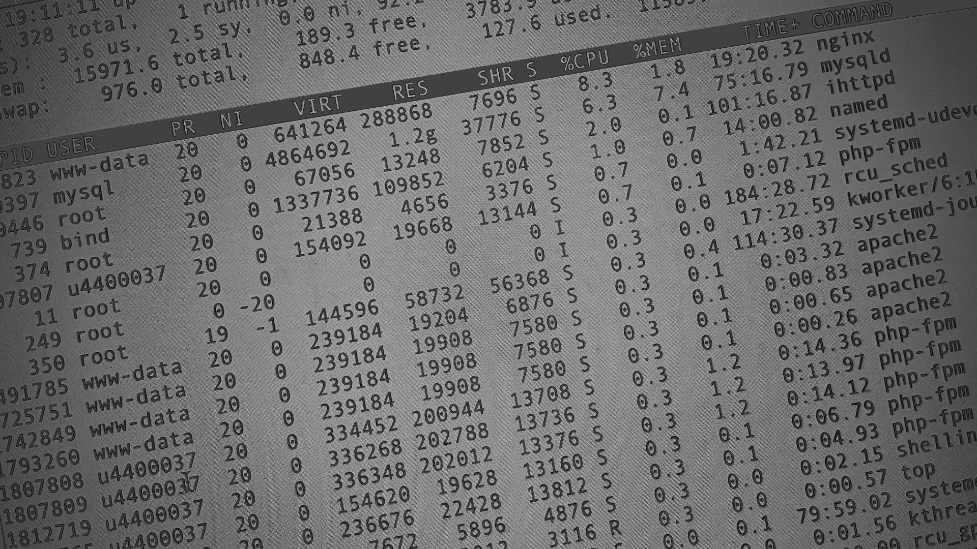 Настройка сервера в Светогорске