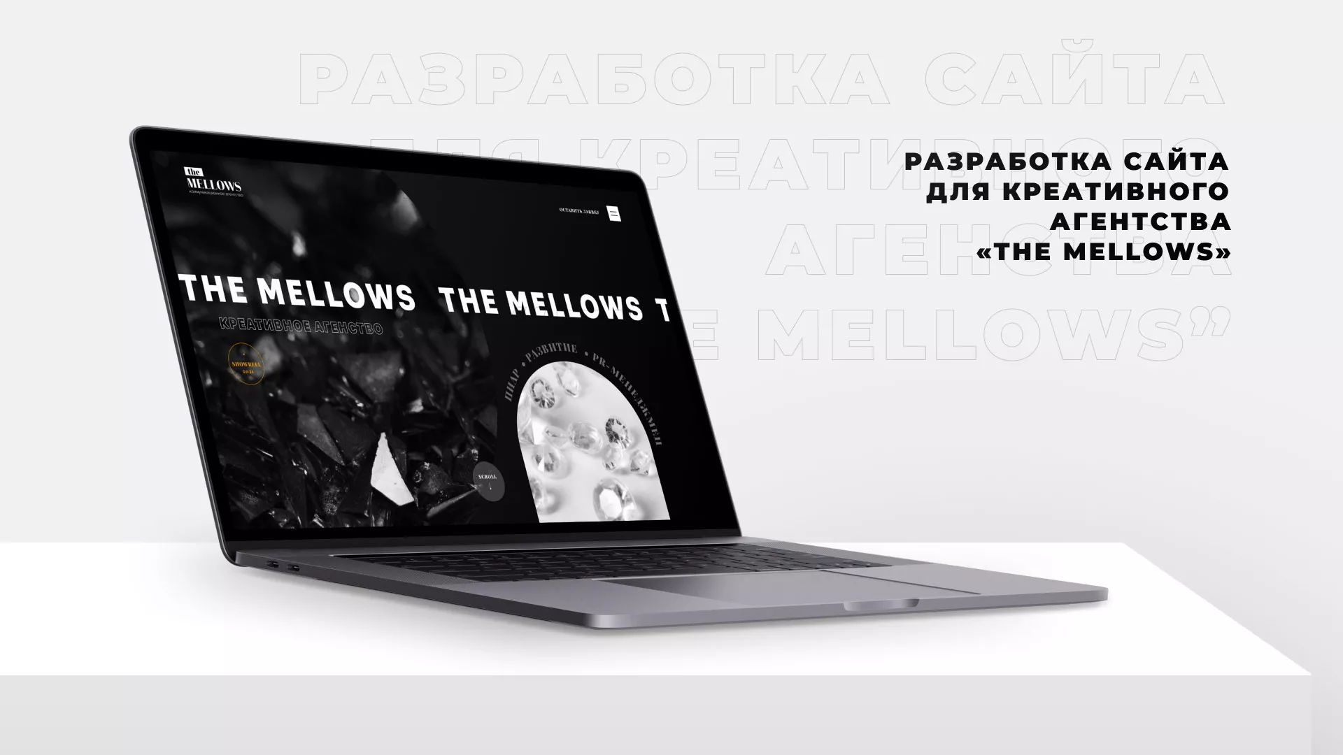 Разработка сайта креативного агентства «The Mellows» в Светогорске