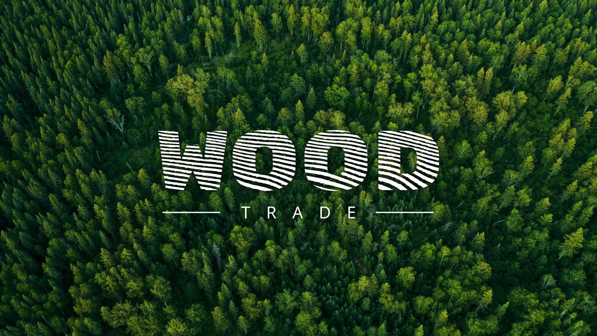 Разработка интернет-магазина компании «Wood Trade» в Светогорске