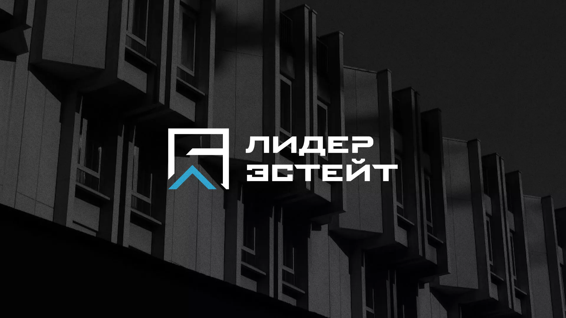 Разработка логотипа агентства недвижимости «Лидер Эстейт» в Светогорске