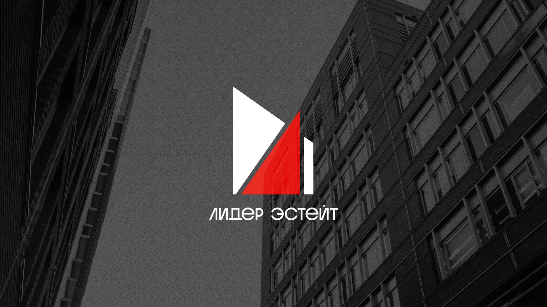 Сделали логотип для агентства недвижимости «Лидер Эстейт» в Светогорске